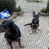 hihi..die oren :P