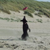 Foto van Eef en Tjibbe