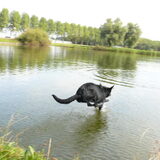 Foto van Eef en Tjibbe