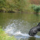 Foto van Eef en Tjibbe