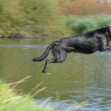 Foto van Eef en Tjibbe