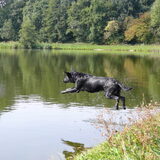 Foto van Eef en Tjibbe