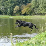 Foto van Eef en Tjibbe
