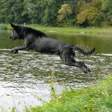 Foto van Eef en Tjibbe