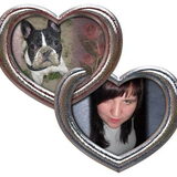 Foto van **The more I know about people, the more I love dogs**