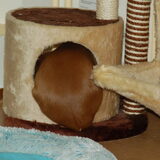 Senna in het katten holletje