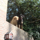Foto van Anmacknes