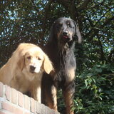 Foto van Anmacknes