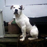 Butch Mooi Zitte