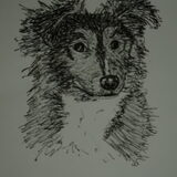 Daisy even snel getekend... Mijn 1e PEN tekening!