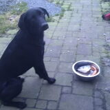 Foto van Eef en Tjibbe