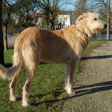 bijna 5 jaar