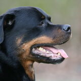Issie niet mooi!!