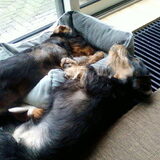 Foto van Inge (Bob en Bas)