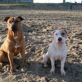 Kijk is hoe lief! :D