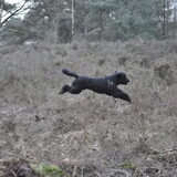I believe I can fly