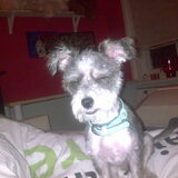 willempie en de flits! ogen dicht!!!