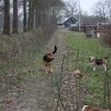 max wandelen (reunie)