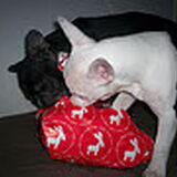 samen kerstcadeautjes openmaken