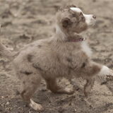 Gentle van Bettina en Hetty