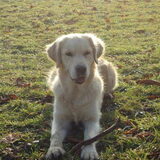 jessy ,heerlijk wandelen