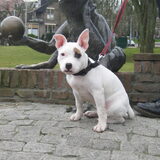 Foto van martijn-kayleigh