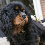 Foto van carla