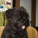Brandy :)