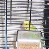 nina 15-8-2009/6-2-2011