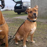 Rocky & Luna