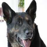 Axel