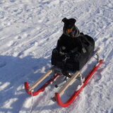 Foto van Marleen , Blacky & Justy