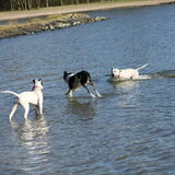 Andor loopt op het water :)