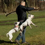 samen vliegen :)