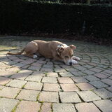 even snuffelen :D ( 5,5maand )