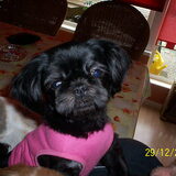 dit is amy ze is 2 jaar oud.