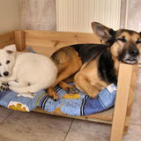 Samen in Sjenna`s mand