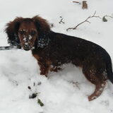 En toen was er sneeuw.