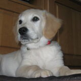 Diaz 9-12-2010