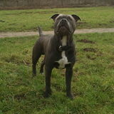 12 maanden
