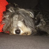 Lief meisje.