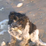 Foto van evelien & storm