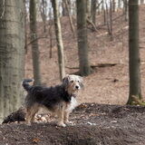 Foto van Julie