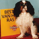 Foto van Julie