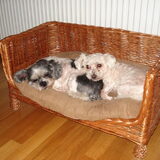 Bobbie en Tyco