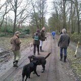 winterwandeling prachtig