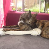 hmmmm dat was kei lekker
