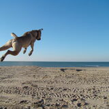 nitro als superman;-)