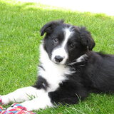 Body klein.