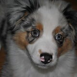 in love!!